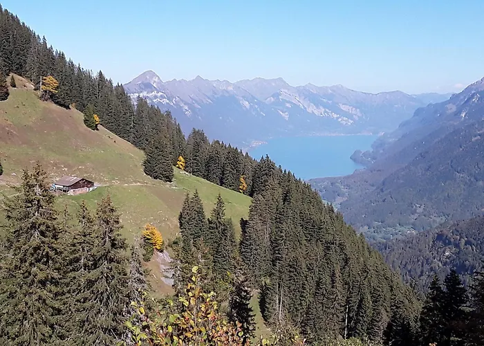 Desalpes