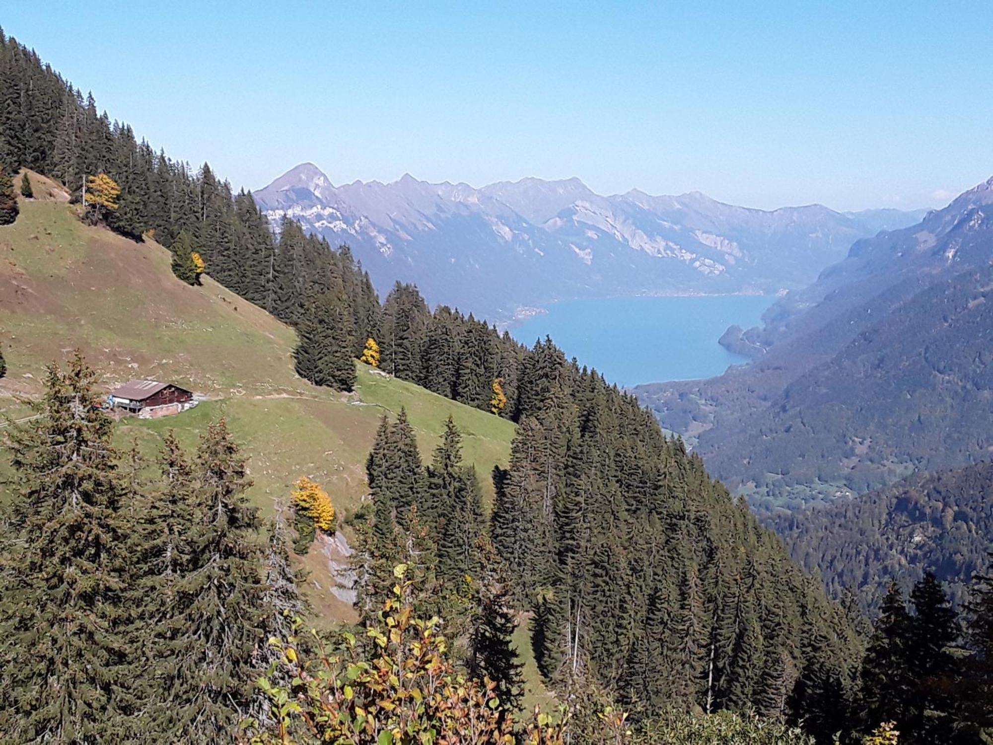 Desalpes Apartment Saxeten